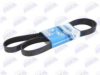 BTA B08-7PK1753 V-Ribbed Belts